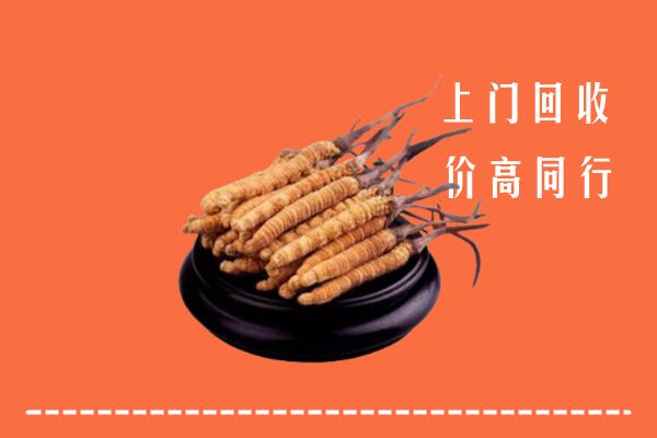 高价求购：前进区回收散虫草